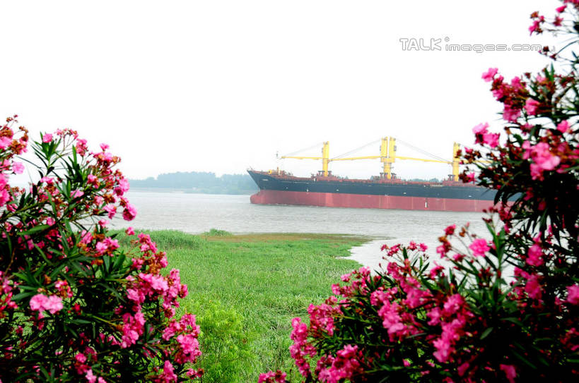 无人,公园,横图,室外,白天,正面,旅游,度假,草地,草坪,河流,美景,水,植物,轮船,船,上海,中国,亚洲,盛开,河水,景观,水流,花蕾,娱乐,草,花,花瓣,花朵,鲜花,绿色,天空,自然,交通工具,天,花苞,花蕊,享受,休闲,景色,放松,申,自然风光,载具,宝山区,东亚,上海市,炮台湾湿地森林公园,中华人民共和国,沪,华东地区,彩图,吴淞炮台湾湿地森林公园,shsgf1