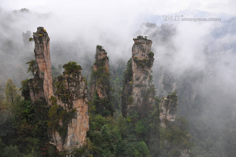 无人,横图,俯视,室外,白天,旅游,度假,石头,美景,森林,山,山脉,树林,植物,雾,张家界,中国,亚洲,阴影,朦胧,模糊,光线,石子,影子,景观,山顶,山峰,山峦,娱乐,树,树木,绿色,阳光,自然,群山,享受,休闲,景色,放松,生长,成长,迷雾,自然风光,东亚,沉积岩,湖南,湖南省,天子山,中华人民共和国,华中地区,湘,张家界市,颠峰,极峰,水成岩,武陵源区,石块,岩石,大雾,彩图,高角度拍摄,shsgf1