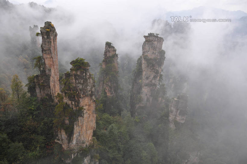 无人,横图,俯视,室外,白天,旅游,度假,石头,美景,森林,山,山脉,树林,植物,雾,张家界,中国,亚洲,阴影,朦胧,模糊,光线,石子,影子,景观,山顶,山峰,山峦,娱乐,树,树木,绿色,阳光,自然,群山,享受,休闲,景色,放松,生长,成长,迷雾,自然风光,东亚,沉积岩,湖南,湖南省,天子山,中华人民共和国,华中地区,湘,张家界市,颠峰,极峰,水成岩,武陵源区,石块,岩石,大雾,彩图,高角度拍摄,shsgf1