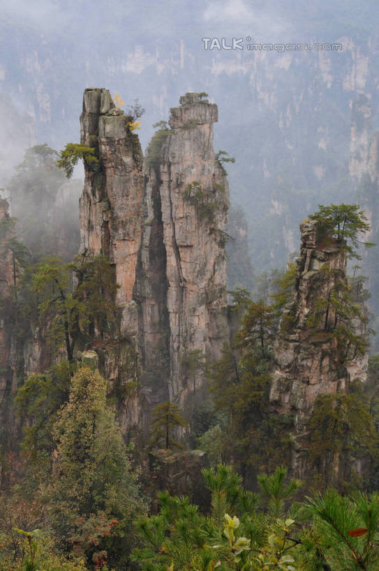 无人,竖图,俯视,室外,白天,旅游,度假,草地,草坪,石头,美景,山,山脉,植物,雾,张家界,中国,亚洲,一排,许多,阴影,朦胧,模糊,整齐,光线,石子,影子,景观,山峰,山峦,很多,娱乐,草,树,树木,排列,绿色,阳光,自然,群山,享受,休闲,景色,放松,生长,成长,迷雾,队列,自然风光,东亚,湖南,湖南省,天子山,中华人民共和国,华中地区,湘,张家界市,武陵源区,石块,岩石,大雾,彩图,高角度拍摄,shsgf1