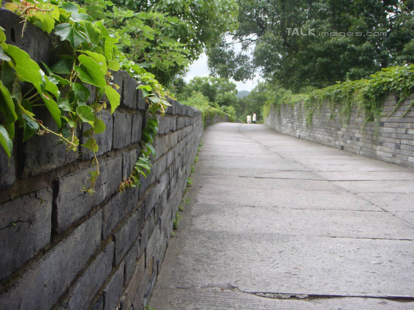 无人,横图,室外,白天,正面,旅游,度假,建材,草地,草坪,美景,树林,植物,道路,建筑,路,中国,亚洲,阴影,光线,材料,影子,砖,砖块,墙,景观,小路,青苔,苔藓,交通,娱乐,浙江,墙壁,墙面,草,树,树木,浙江省,绿色,阳光,自然,享受,休闲,砖头,景色,放松,建造,江南长城,临海,生长,成长,自然风光,东亚,中华人民共和国,华东地区,浙,台州,台州市,石料,彩图,砌墙砖,临海市,台州府城墙,shslj1