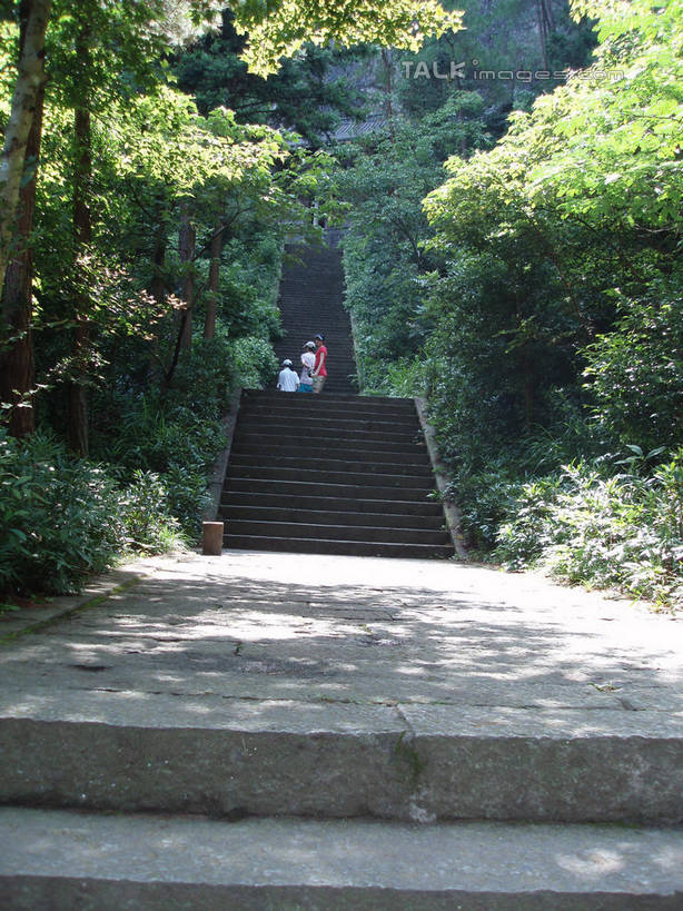 无人,栏杆,竖图,室外,白天,正面,旅游,度假,草地,草坪,美景,树林,植物,楼梯,仙居,中国,亚洲,阴影,光线,扶手,影子,阶梯,景观,娱乐,浙江,护栏,台阶,草,树,树木,浙江省,绿色,阳光,自然,享受,休闲,景色,放松,生长,成长,自然风光,东亚,中华人民共和国,华东地区,浙,台州,台州市,彩图,仙居县,shslj1