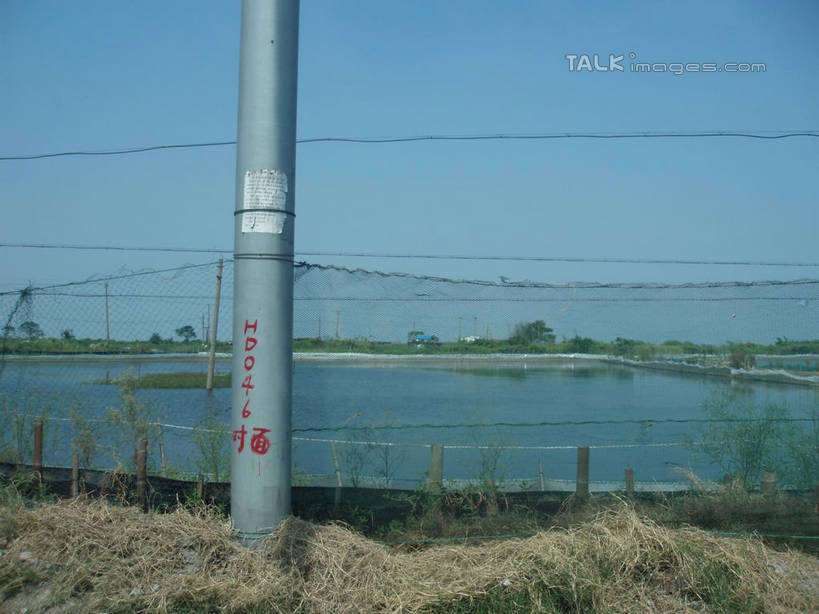 无人,横图,室外,白天,正面,旅游,度假,湖,湖泊,美景,树林,水,植物,中国,亚洲,阴影,枯萎,电力,光线,电线,电线杆,线,影子,湖面,景观,水流,水面,枯草,铁丝网,电能,线路,娱乐,浙江,草,树,树木,浙江省,黄色,蓝色,绿色,蓝天,天空,阳光,自然,湖水,天,享受,休闲,景色,放松,缥缈峰,生长,晴朗,成长,电,电源,自然风光,能量,东亚,万里无云,中华人民共和国,华东地区,浙,铁蒺藜,晴空,晴空万里,彩图,shslj1