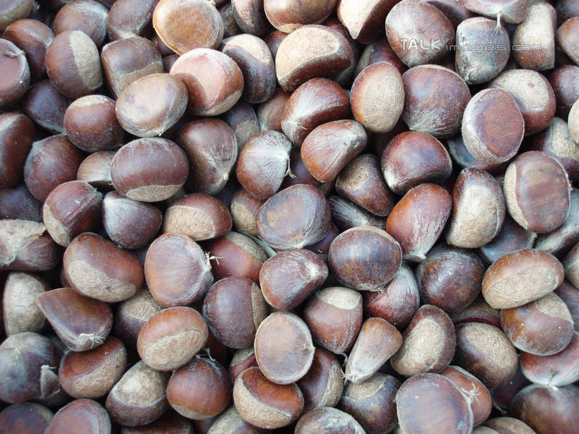 无人,横图,俯视,室外,特写,白天,一堆,许多,阴影,堆叠,堆积,光线,影子,板栗,栗子,坚果,毛栗子,很多,阳光,堆,毛栗,栗果,栗楔,彩图,高角度拍摄,shslj1