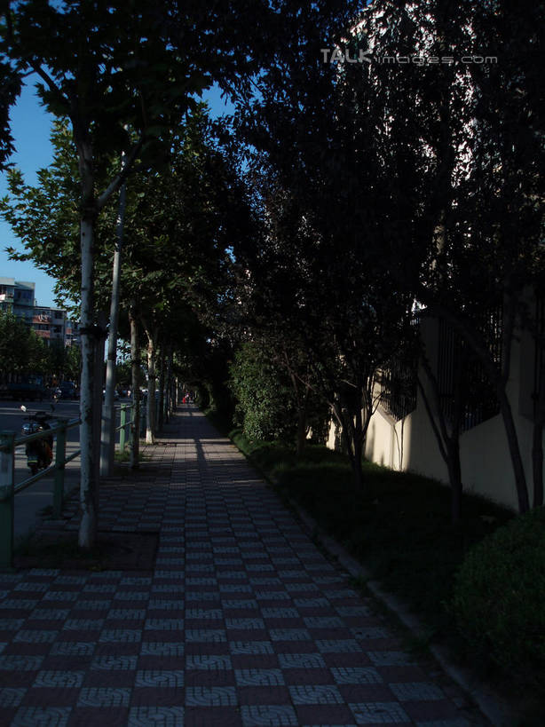 无人,竖图,室外,白天,正面,度假,美景,植物,城市风光,城市,道路,路,公路,中国,亚洲,阴影,光线,影子,景观,交通,娱乐,树,树木,蓝色,绿色,蓝天,天空,阳光,自然,天,享受,休闲,景色,放松,生长,晴朗,成长,东亚,万里无云,中华人民共和国,晴空,晴空万里,马路,彩图,shslj1