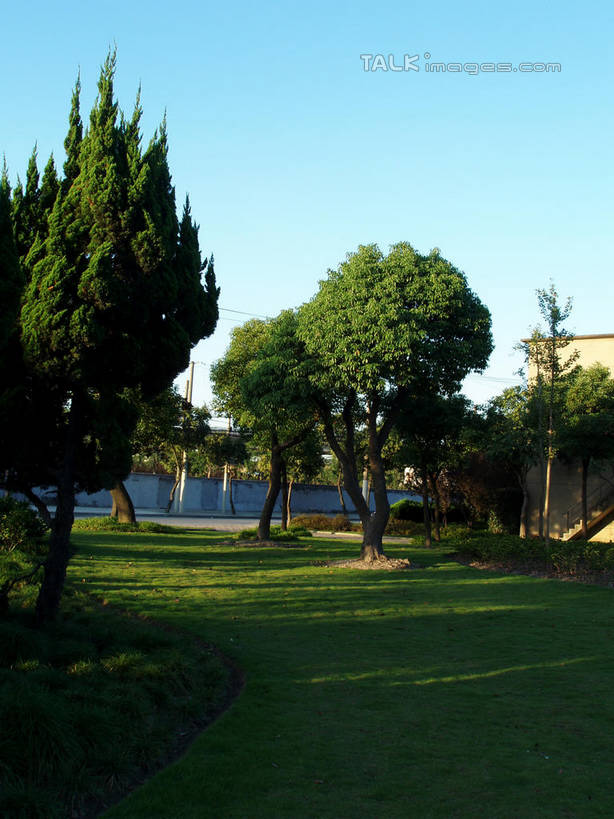 无人,公园,竖图,室外,白天,正面,旅游,度假,草地,草坪,湖,湖泊,美景,树林,水,植物,上海,中国,亚洲,阴影,光线,影子,湖面,景观,水流,水面,娱乐,草,树,树木,蓝色,绿色,蓝天,天空,阳光,自然,湖水,天,享受,休闲,景色,放松,华泾公园,生长,晴朗,成长,申,自然风光,东亚,徐汇区,上海市,万里无云,中华人民共和国,沪,华东地区,晴空,晴空万里,彩图,华泾路,shslj1