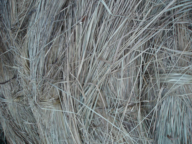 无人,横图,室外,特写,白天,正面,一堆,许多,堆叠,堆积,纹路,纹理,干草,很多,草垛,堆,肌理,干草垛,彩图,shslj1