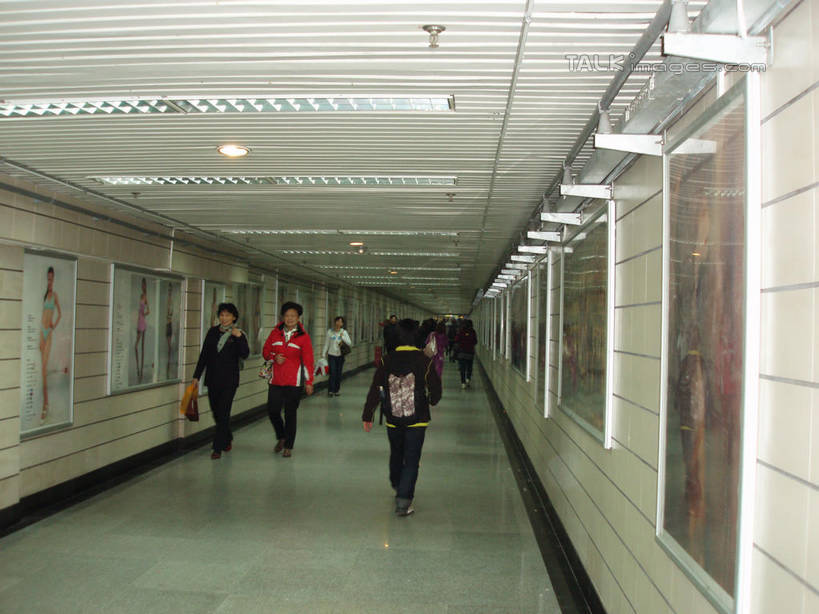 东方人,背部,走,横图,室内,白天,正面,度假,绘画,美景,城市风光,城市,照明,上海,中国,亚洲,行人,游客,游人,服装,艺术,包,书包,墙,景观,走道,走廊,过道,灯光,许多人,古典,注视,休闲装,黄种人,文化,娱乐,顶灯,路人,旅客,墙壁,墙面,灯,衣服,背包,工艺品,灯具,观察,看,品味,一群人,享受,休闲,休闲服,景色,放松,服饰,观看,照亮,美术,申,察看,高雅,照明设备,关注,挂画,东亚,上海市,中华人民共和国,沪,华东地区,美学,过客,男人,男性,年轻男性,年轻女性,女人,女性,亚洲人,装饰画,步行,散步,走路,彩图,全身,双肩包,shslj1