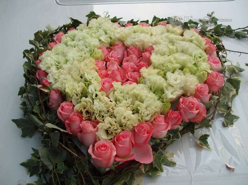 无人,横图,室外,特写,白天,正面,爱情,婚礼,快乐,幸福,纯洁,热情,汽车,玫瑰,一辆,阴影,爱心,庆祝,光线,影子,玫瑰花,结婚,浪漫,黄玫瑰,车,粉色,黄色,阳光,交通工具,轿车,温暖,温馨,喜庆,心形,恩爱,纪念,和睦,载具,感动,粉玫瑰,尊敬,天真,刺玫花,徘徊花,心型,彩图,高兴,融洽,shslj1