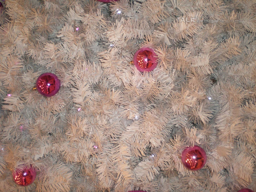 无人,横图,室内,特写,白天,正面,植物,圣诞节,阴影,节日,庆祝,装饰,反射,挂饰,影子,圣诞树,圣诞球,文化,球,树,树木,粉色,白色,自然,庆典,球体,生长,成长,纪念,华丽,修饰,点缀,衬托,美观,雅致,雅观,彩图,shslj1