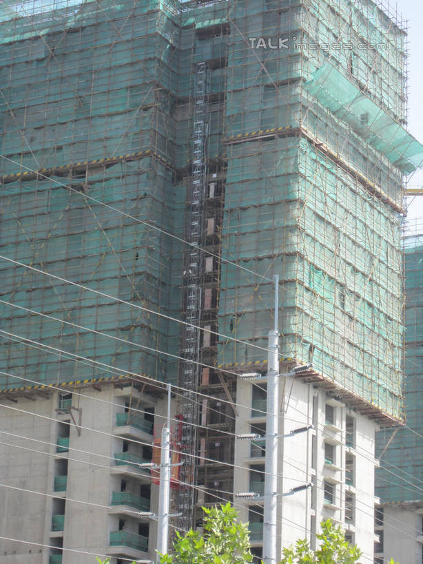 无人,竖图,室外,白天,仰视,植物,阴影,电力,光线,电线,电线杆,线,影子,支架,电能,线路,架子,脚手架,树,树木,施工,绿色,阳光,自然,建筑工地,生长,成长,电,支撑,电源,固定,能量,地盘,建筑地盘,施工地盘,彩图,低角度拍摄,工地,稳固,shslj1