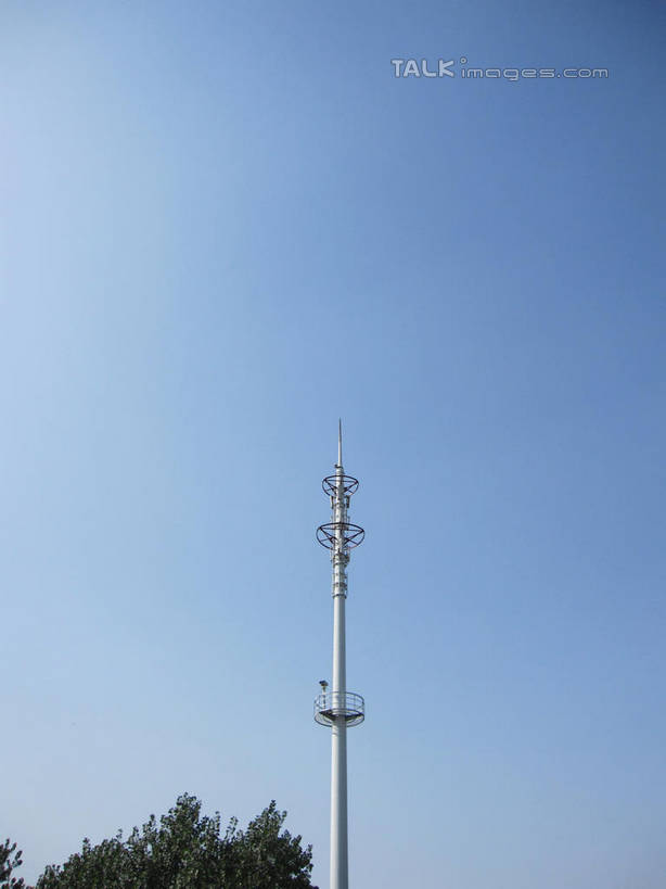 无人,竖图,室外,白天,仰视,植物,阴影,光线,影子,塔,树,树木,蓝色,绿色,蓝天,天空,阳光,自然,天,观察,监视塔,生长,晴朗,成长,察看,调查,监控,考察,万里无云,观测,视察,晴空,晴空万里,彩图,低角度拍摄,shslj1