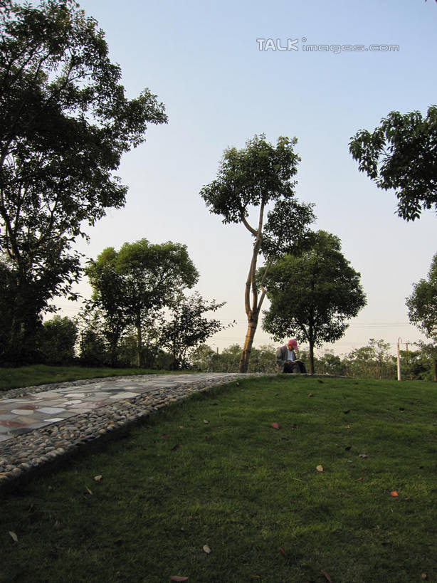 无人,竖图,室外,白天,正面,旅游,度假,草地,草坪,美景,树林,植物,道路,路,阴影,光线,影子,景观,小路,交通,娱乐,草,树,树木,蓝色,绿色,蓝天,天空,阳光,自然,天,享受,休闲,景色,放松,生长,晴朗,成长,自然风光,万里无云,晴空,晴空万里,彩图,shslj1