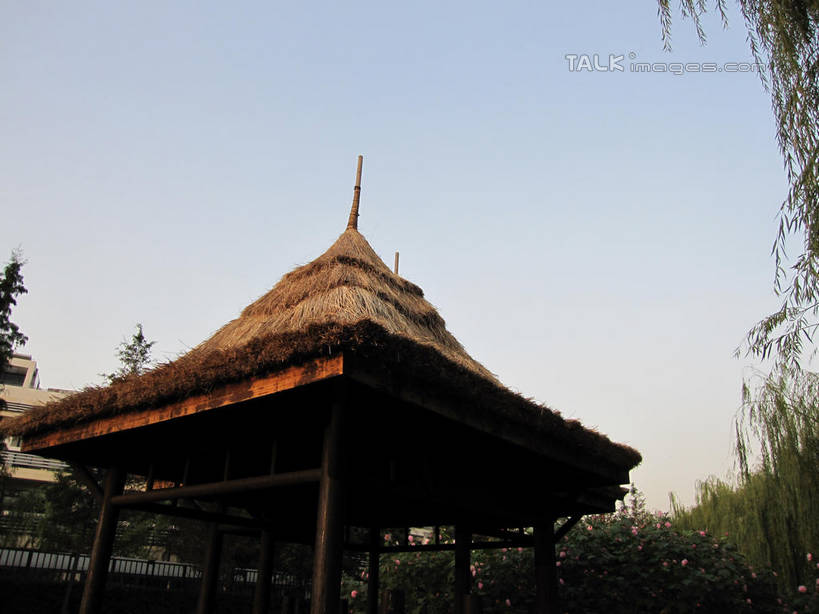 无人,栏杆,横图,室外,白天,仰视,旅游,度假,美景,树林,植物,阴影,光线,影子,亭子,屋顶,草屋,景观,围栏,顶棚,娱乐,护栏,树,树木,蓝色,绿色,蓝天,天空,阳光,自然,凉亭,茅草屋,天,享受,休闲,景色,放松,生长,晴朗,成长,自然风光,万里无云,晴空,晴空万里,彩图,低角度拍摄,shslj1