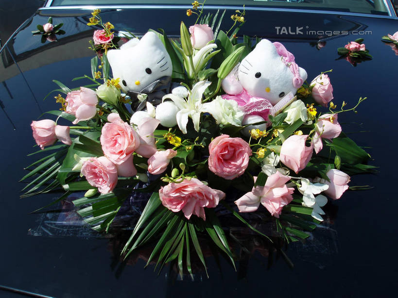 无人,横图,俯视,室外,特写,白天,爱情,婚礼,游戏,快乐,幸福,纯洁,热情,汽车,玫瑰,玩具,一辆,阴影,庆祝,装饰,盛开,光线,影子,玫瑰花,结婚,浪漫,玩,花蕾,娱乐,车,花,花瓣,花朵,鲜花,粉色,阳光,交通工具,轿车,花苞,花蕊,休闲,温暖,温馨,喜庆,恩爱,益智,活动,纪念,华丽,修饰,点缀,和睦,发泄,消遣,智力,载具,感动,粉玫瑰,宣泄,衬托,美观,雅致,雅观,尊敬,天真,刺玫花,徘徊花,玩耍,嬉戏,彩图,高角度拍摄,高兴,Kitty猫,融洽,凯蒂猫,shslj1