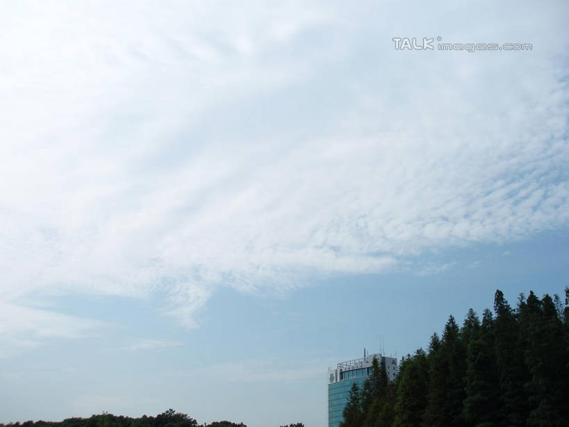 无人,公园,家,横图,室外,白天,仰视,旅游,度假,美景,树林,植物,上海,中国,亚洲,阴影,光线,影子,房屋,屋子,景观,云,云朵,公寓,云彩,娱乐,洋房,楼房,住宅,树,树木,蓝色,绿色,白云,蓝天,天空,阳光,自然,天,享受,休闲,景色,放松,大宁灵石公园,生长,晴朗,成长,申,自然风光,东亚,上海市,中华人民共和国,沪,华东地区,闸北区,晴空,彩图,低角度拍摄,房子,广中西路,shslj1