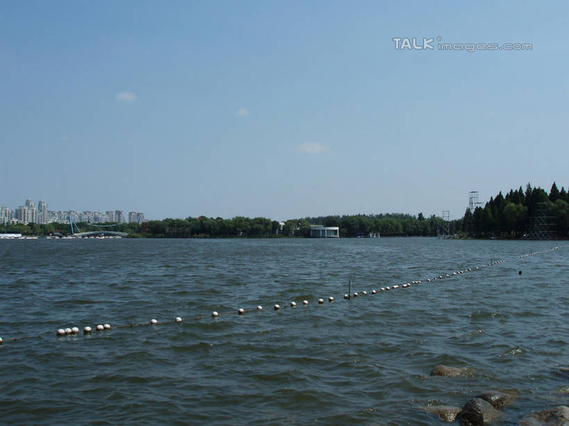 无人,公园,家,高楼大厦,横图,室外,白天,正面,度假,湖,湖泊,美景,水,植物,城市风光,城市,大厦,建筑,摩天大楼,上海,中国,亚洲,阴影,波纹,光线,标志,影子,房屋,屋子,湖面,景观,水流,水面,云,云朵,公寓,涟漪,云彩,娱乐,标识,浦东,洋房,楼房,住宅,树,树木,蓝色,绿色,白云,蓝天,水纹,天空,阳光,自然,波浪,湖水,人工湖,天,享受,休闲,景色,放松,浮标,世纪公园,生长,晴朗,成长,申,浦东新区,东亚,上海市,中华人民共和国,沪,华东地区,水晕,航标,晴空,彩图,房子,大楼,高层建筑,高楼,摩天楼,航行标志,助航标志,浦东中央公园,shslj1