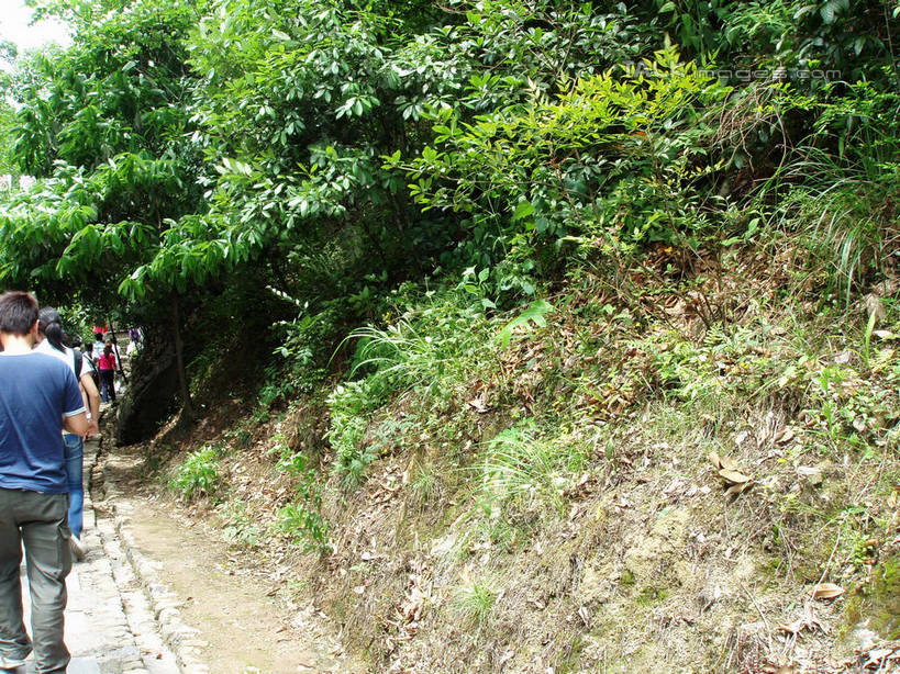 东方人,走,横图,室外,白天,旅游,度假,美景,树林,植物,道路,路,中国,亚洲,行人,游客,游人,阴影,服装,光线,影子,景观,小路,交通,许多人,休闲装,黄种人,娱乐,浙江,路人,旅客,树,树木,浙江省,背面,衣服,绿色,阳光,自然,一群人,享受,休闲,休闲服,景色,放松,服饰,千岛湖,生长,成长,自然风光,东亚,中华人民共和国,华东地区,浙,过客,男人,男性,年轻男性,年轻女性,女人,女性,亚洲人,步行,散步,走路,半身,彩图,淳安,淳安县,新安江水库,shslj1