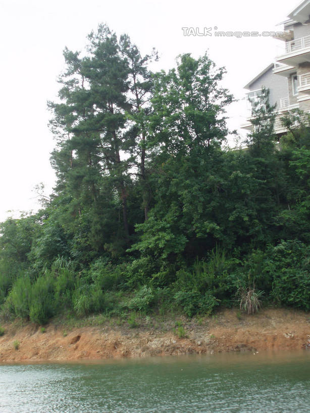 无人,家,竖图,室外,白天,正面,旅游,度假,湖,湖泊,美景,沙滩,树林,水,植物,中国,亚洲,阴影,波纹,光线,沙子,影子,房屋,屋子,河岸,河滩,湖面,景观,泥土,水流,水面,土壤,公寓,涟漪,沙地,娱乐,洋房,浙江,楼房,住宅,树,树木,浙江省,蓝色,绿色,蓝天,水纹,天空,阳光,自然,波浪,湖水,天,享受,休闲,景色,放松,千岛湖,生长,晴朗,成长,自然风光,东亚,万里无云,中华人民共和国,华东地区,水晕,浙,晴空,晴空万里,彩图,房子,淳安,淳安县,新安江水库,shslj1