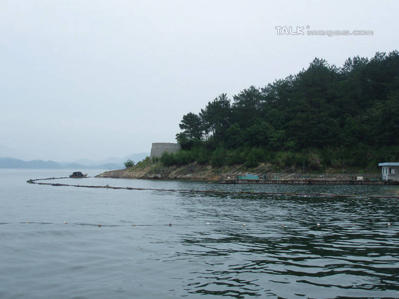 无人,横图,室外,白天,正面,旅游,度假,湖,湖泊,美景,山,山脉,树林,水,植物,中国,亚洲,阴影,波纹,光线,影子,湖面,景观,山峰,水流,水面,涟漪,山峦,娱乐,浙江,树,树木,浙江省,蓝色,绿色,蓝天,水纹,天空,阳光,自然,波浪,湖水,群山,天,享受,休闲,景色,放松,五龙岛,千岛湖,生长,晴朗,成长,自然风光,东亚,万里无云,中华人民共和国,华东地区,水晕,浙,晴空,晴空万里,彩图,淳安,淳安县,新安江水库,月光岛,shslj1