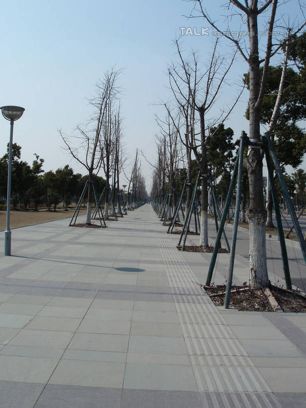 无人,竖图,室外,白天,正面,消失点,度假,草地,草坪,美景,树林,植物,城市风光,城市,道路,路,路灯,照明,阴影,光线,影子,景观,小路,灯光,交通,娱乐,灯,草,树,树木,蓝色,绿色,蓝天,天空,阳光,自然,天,享受,休闲,景色,放松,生长,晴朗,成长,照亮,照明设备,万里无云,晴空,晴空万里,彩图,没影点,灭点,shslj1