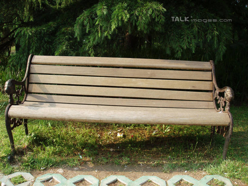 无人,植物园,横图,室外,白天,正面,旅游,度假,草地,草坪,美景,树林,植物,道路,路,松树,椅子,上海,中国,亚洲,阴影,光线,影子,木椅,景观,小路,交通,娱乐,草,树,树木,绿色,阳光,自然,享受,休闲,景色,放松,生长,成长,申,自然风光,坚定,东亚,上海市,中华人民共和国,沪,华东地区,长寿,贞洁,彩图,shslj1