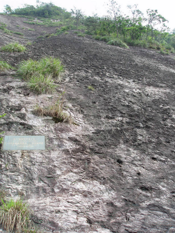 无人,竖图,室外,白天,正面,旅游,度假,石头,美景,山,山脉,植物,中国,亚洲,石子,景观,山峰,山峦,娱乐,浙江,树,树木,浙江省,绿色,自然,群山,享受,休闲,景色,放松,雁荡山,生长,成长,自然风光,东亚,中华人民共和国,华东地区,浙,温州,温州市,石块,岩石,彩图,shslj1