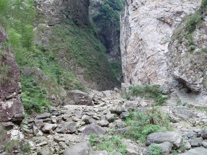 无人,横图,室外,白天,正面,旅游,度假,石头,美景,山,山脉,植物,中国,亚洲,石子,景观,山峰,悬崖,山峦,娱乐,浙江,树,树木,浙江省,绿色,自然,群山,享受,休闲,景色,放松,雁荡山,生长,成长,自然风光,东亚,中华人民共和国,华东地区,浙,温州,温州市,绝壁,石块,岩石,彩图,shslj1