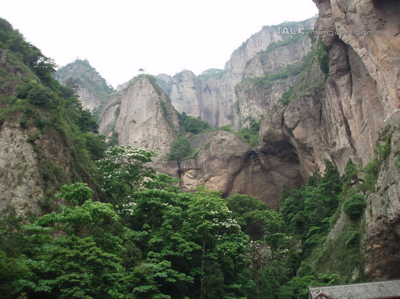 无人,横图,室外,白天,仰视,旅游,度假,石头,美景,森林,山,山脉,树林,植物,中国,亚洲,石子,景观,山峰,悬崖,山峦,娱乐,浙江,树,树木,浙江省,绿色,天空,自然,群山,天,享受,休闲,景色,放松,雁荡山,生长,成长,自然风光,东亚,中华人民共和国,华东地区,浙,温州,温州市,绝壁,石块,岩石,彩图,低角度拍摄,shslj1