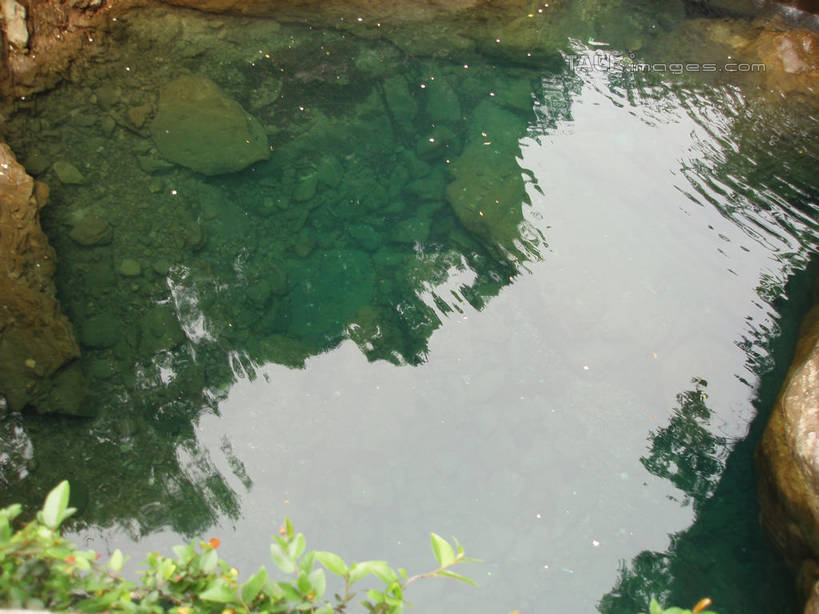 无人,横图,俯视,室外,白天,旅游,度假,湖,湖泊,石头,美景,水,植物,中国,亚洲,波纹,石子,湖面,景观,水流,水面,涟漪,娱乐,浙江,树,树木,浙江省,绿色,倒影,水纹,自然,波浪,湖水,享受,休闲,景色,放松,雁荡山,生长,成长,倒映,自然风光,东亚,中华人民共和国,华东地区,水晕,浙,温州,温州市,反照,石块,岩石,彩图,高角度拍摄,shslj1