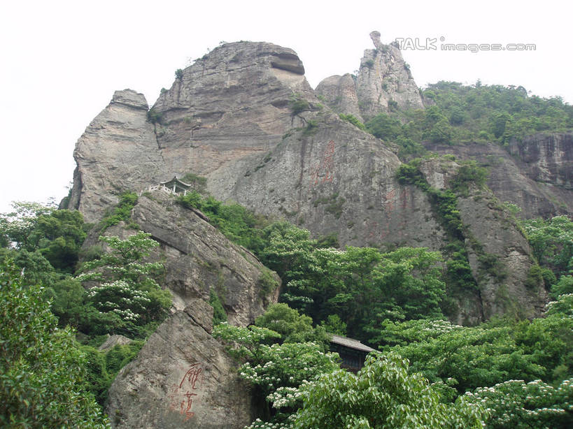 无人,横图,室外,白天,仰视,旅游,度假,石头,美景,森林,山,山脉,树林,植物,中国,亚洲,石子,景观,山峰,悬崖,山峦,娱乐,浙江,树,树木,浙江省,绿色,天空,自然,群山,天,享受,休闲,景色,放松,雁荡山,生长,成长,自然风光,东亚,中华人民共和国,华东地区,浙,温州,温州市,绝壁,石块,岩石,彩图,低角度拍摄,shslj1