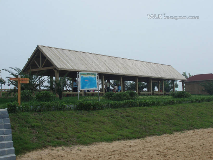 无人,家,横图,室外,白天,正面,旅游,度假,草地,草坪,美景,沙滩,植物,楼梯,上海,中国,亚洲,沙子,房屋,阶梯,屋子,海岸,景观,沙地,娱乐,楼房,台阶,住宅,草,树,树木,蓝色,绿色,蓝天,天空,自然,天,享受,休闲,景色,放松,水上乐园,奉贤区,生长,晴朗,成长,申,自然风光,东亚,上海市,万里无云,中华人民共和国,沪,华东地区,海滩,晴空,晴空万里,彩图,房子,碧海金沙水上乐园,shslj1