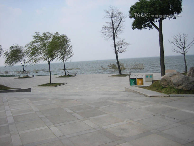 无人,横图,室外,白天,正面,度假,草地,草坪,湖,湖泊,美景,水,植物,城市风光,城市,上海,中国,亚洲,湖面,景观,水流,水面,娱乐,草,树,树木,绿色,天空,自然,湖水,天,享受,休闲,景色,放松,东方绿舟,生长,成长,申,青浦区,东亚,上海市,中华人民共和国,沪,华东地区,彩图,shslj1