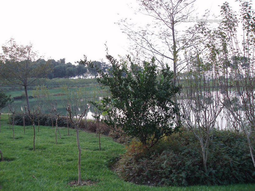 无人,横图,室外,白天,正面,度假,草地,草坪,湖,湖泊,美景,水,植物,城市风光,城市,上海,中国,亚洲,湖面,景观,水流,水面,娱乐,草,树,树木,绿色,天空,自然,湖水,天,享受,休闲,景色,放松,东方绿舟,生长,成长,申,青浦区,东亚,上海市,中华人民共和国,沪,华东地区,彩图,shslj1