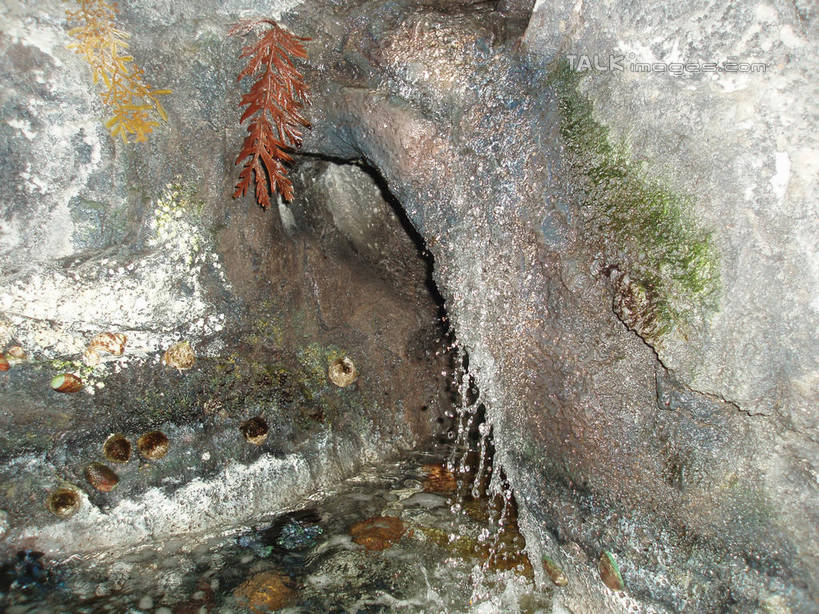 无人,横图,室内,白天,正面,旅游,度假,河流,石头,水,标志建筑,地标,建筑,上海,中国,亚洲,表演,石子,河水,水流,青苔,苔藓,娱乐,建设,浦东,水族馆,小溪,溪水,享受,休闲,展示,旅游胜地,放松,海底世界,展览,申,饲养,陆家嘴,浦东新区,东亚,收集,上海市,中华人民共和国,沪,华东地区,极地海洋世界,石块,岩石,彩图,上海海洋水族馆,上海水族馆,shslj1