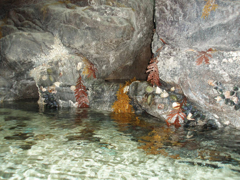 无人,横图,室内,白天,正面,旅游,度假,河流,石头,水,标志建筑,地标,建筑,上海,中国,亚洲,表演,石子,河水,水流,青苔,苔藓,娱乐,建设,浦东,水族馆,小溪,溪水,享受,休闲,展示,旅游胜地,放松,海底世界,展览,申,饲养,陆家嘴,浦东新区,东亚,收集,上海市,中华人民共和国,沪,华东地区,极地海洋世界,石块,岩石,彩图,上海海洋水族馆,上海水族馆,shslj1