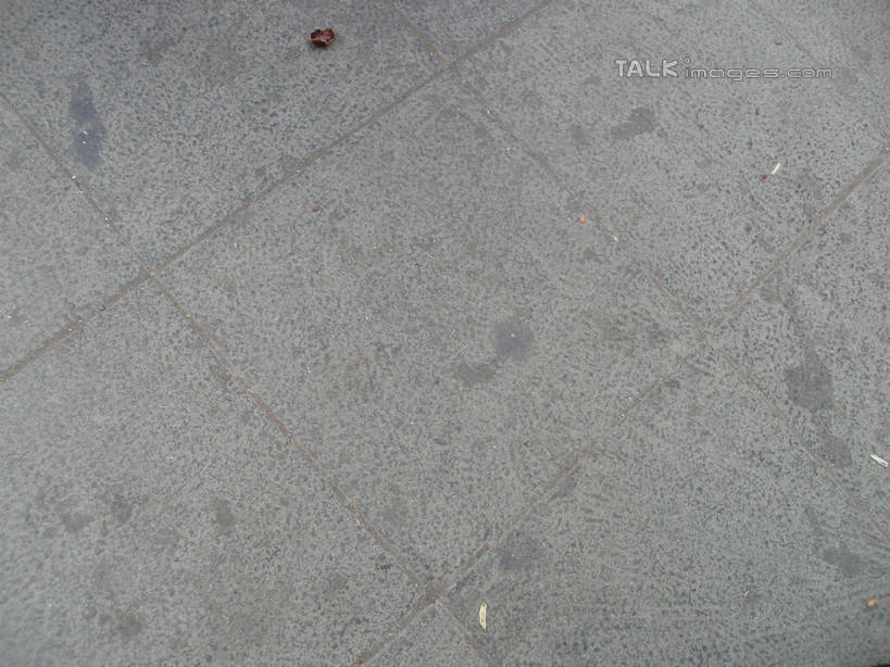 无人,横图,俯视,室外,特写,白天,地板,静物,地面,灰色,柔和,大方,细致,中间色,朴素,平稳,彩图,高角度拍摄,shslj1