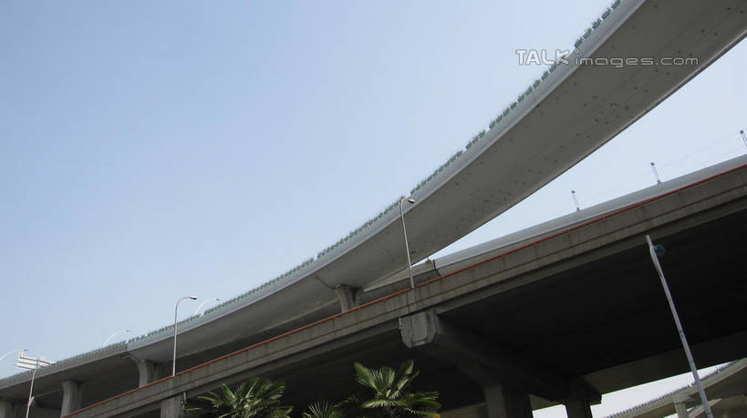 无人,横图,室外,白天,仰视,度假,美景,植物,城市风光,城市,道路,路,公路,上海,中国,亚洲,阴影,光线,影子,景观,高架,交通,娱乐,树,树木,蓝色,绿色,蓝天,天空,阳光,自然,天,享受,休闲,景色,放松,锦江乐园,生长,晴朗,成长,申,高架桥,东亚,闵行区,上海市,高架道路,跨线桥,万里无云,中华人民共和国,沪,华东地区,晴空,晴空万里,彩图,低角度拍摄,shslj1