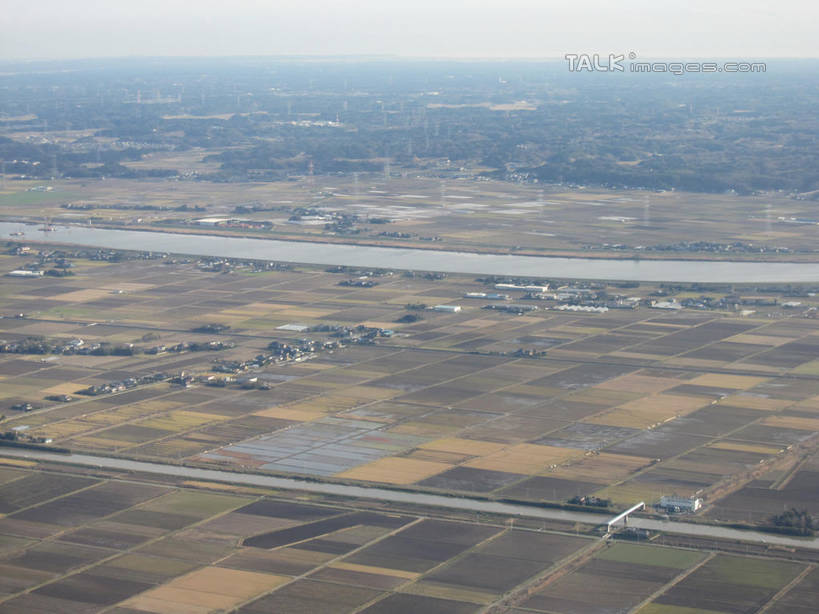 无人,家,农田,横图,俯视,航拍,室外,白天,旅游,度假,庄稼,农作物,美景,植物,城市风光,城市,建筑,房屋,屋子,景观,公寓,娱乐,建设,洋房,楼房,住宅,树,树木,绿色,天空,自然,天,享受,休闲,景色,放松,生长,成长,鸟瞰,彩图,高角度拍摄,耕地,庄稼田,房子,shslj1