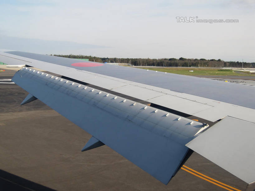 无人,机场,横图,室外,白天,正面,草地,草坪,植物,道路,飞机,飞机场,路,公路,阴影,光线,影子,分界线,机翼,停车线,交通,航空,草,树,树木,绿色,天空,阳光,自然,停机坪,交通工具,天,运输,一架,生长,成长,车行道,车行道分界线,客机,载具,标线,车行线,马路,彩图,shslj1