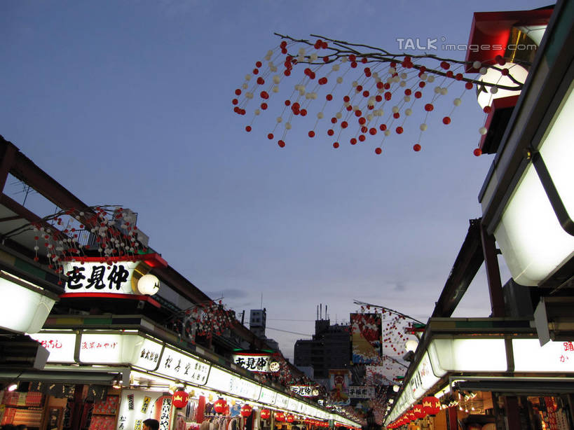 无人,家,横图,室外,白天,仰视,旅游,度假,名胜古迹,标志建筑,地标,建筑,照明,日本,亚洲,阴影,遗迹,光线,灯笼,影子,纸灯笼,房屋,屋子,灯光,古迹,文物,娱乐,建设,古建筑,楼房,住宅,蓝色,蓝天,天空,灯具,天,享受,休闲,旅游胜地,放松,晴朗,照亮,照明设备,古文明,东亚,万里无云,日本国,晴空,晴空万里,彩图,低角度拍摄,房子,shslj1