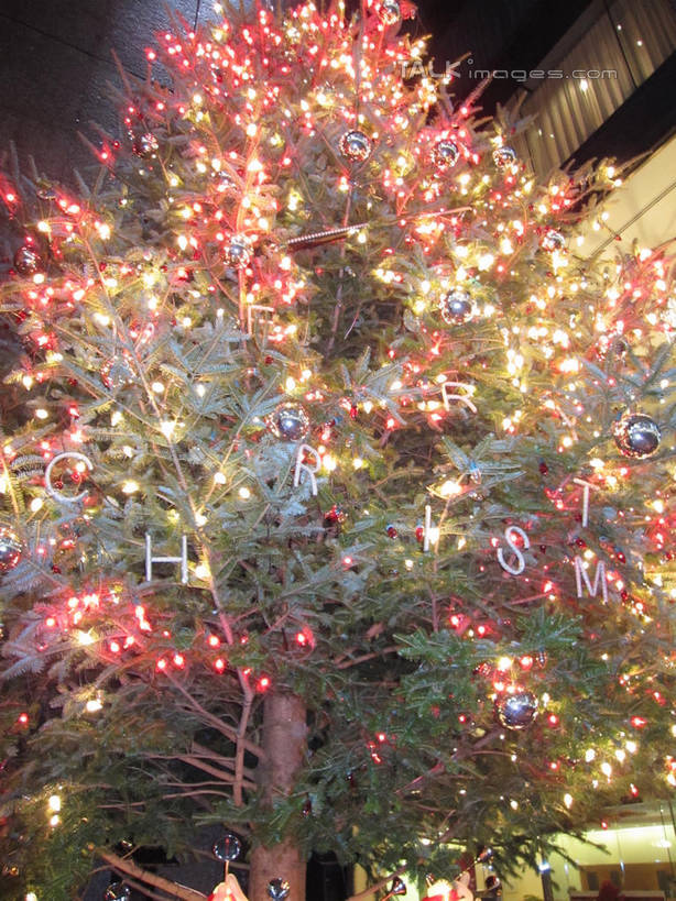 无人,商店,竖图,室外,夜晚,仰视,购物,度假,消费,美景,植物,城市风光,超市,城市,商场,夜景,照明,东京,日本,圣诞节,亚洲,阴影,节日,庆祝,装饰,光线,彩灯,挂饰,影子,景观,灯光,圣诞树,圣诞球,中央区,文化,娱乐,灯,球,树,树木,绿色,自然,灯具,庆典,享受,休闲,球体,银座,景色,放松,金融,百货,花灯,生长,成长,纪念,华丽,修饰,照亮,点缀,照明设备,选购,贸易,圣诞灯,百货公司,东亚,本州,关东地方,本州岛,日本国,东京都,衬托,美观,雅致,雅观,血拼,彩图,低角度拍摄,购物商场,购物中心,商业中心,shslj1