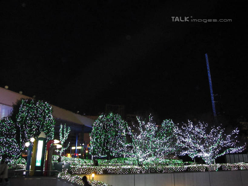 无人,商店,横图,室外,夜晚,仰视,购物,度假,消费,美景,植物,城市风光,超市,城市,商场,照明,东京,日本,亚洲,阴影,光线,彩灯,影子,景观,灯光,圣诞树,中央区,娱乐,灯,树,树木,绿色,自然,灯具,享受,休闲,银座,景色,放松,金融,百货,花灯,生长,成长,照亮,照明设备,选购,贸易,圣诞灯,百货公司,东亚,本州,关东地方,本州岛,日本国,东京都,血拼,彩图,低角度拍摄,购物商场,购物中心,商业中心,shslj1