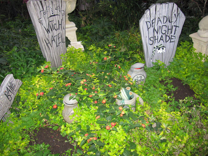 无人,游乐园,横图,俯视,室外,白天,度假,草地,草坪,美景,植物,城市风光,城市,游乐场,水果,东京,日本,亚洲,节日,庆祝,新鲜,英文,标志,木材,文字,字符,字母,景观,生食,食品,果实,文化,娱乐,标识,木柴,草,食物,绿色,庆典,享受,休闲,迪斯尼乐园,万圣节,景色,放松,有机食品,绿色食品,木料,纪念,英文字母,东亚,本州,关东地方,本州岛,日本国,东京都,乐园,主题公园,彩图,高角度拍摄,人造公园,主题乐园,东京迪斯尼乐园,shslj1