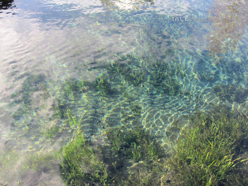 无人,横图,俯视,室外,白天,旅游,度假,美景,日本,亚洲,阴影,波纹,光线,影子,池塘,景观,水池,青苔,苔藓,涟漪,娱乐,水纹,阳光,自然,波浪,享受,休闲,景色,放松,泉水,忍野八海,自然风光,东亚,本州,本州岛,日本国,中部地方,山梨,山梨县,水晕,彩图,高角度拍摄,涌泉群,shslj1