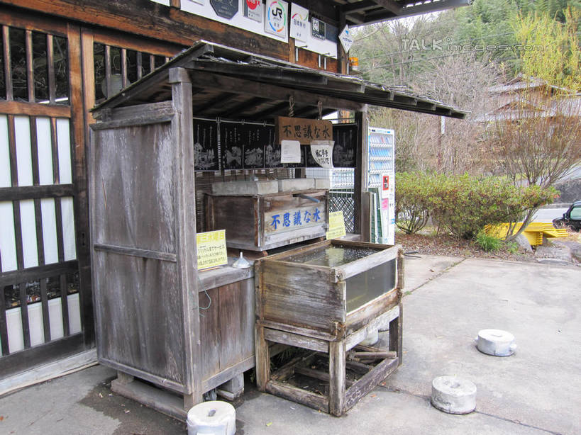 无人,家,木屋,横图,室外,白天,正面,植物,日本,亚洲,住宅,树,树木,绿色,自然,生长,成长,马笼宿,东亚,本州,本州岛,日本国,中部地方,岐阜,岐阜县,县厅,彩图,茅舍,茅屋,棚屋,小木屋,小屋,岐阜市,马笼,shslj1