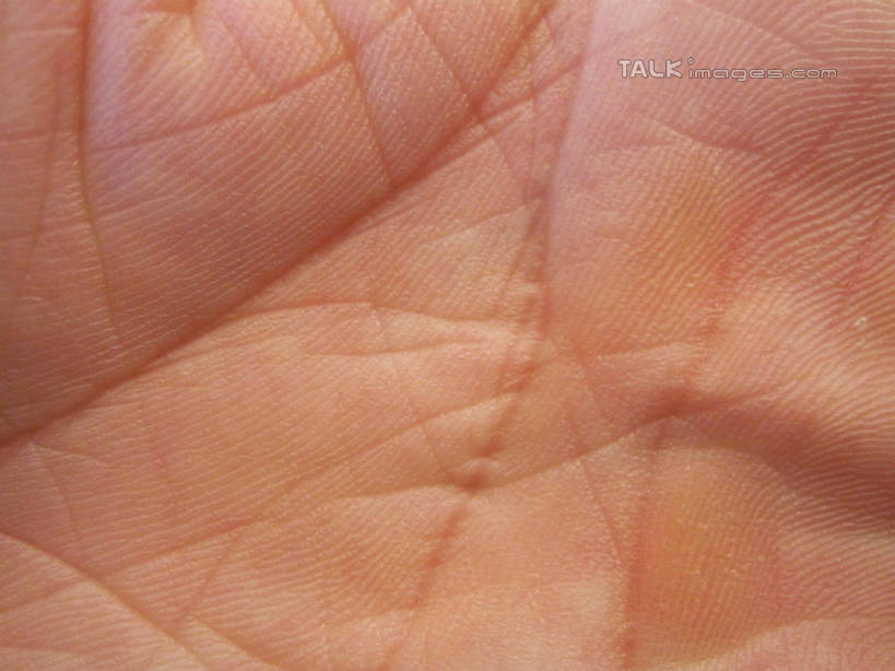 东方人,手,一个人,横图,俯视,室内,特写,白天,亚洲,仅一个男性,仅一个人,纹路,纹理,黄种人,仅一个年轻男性,手部,掌纹,单手,肌理,手掌纹,男人,男性,年轻男性,亚洲人,半身,彩图,高角度拍摄,shslj1