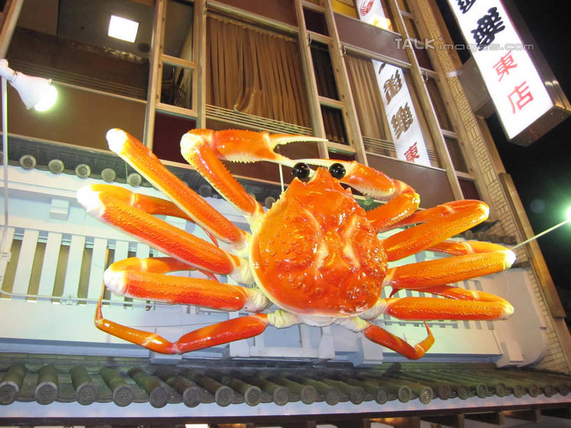 蟹,无人,餐厅,横图,室外,夜晚,仰视,度假,美景,窗户,城市风光,城市,雕塑,日本,亚洲,阴影,艺术,装饰,光线,螃蟹,雕刻,雕像,影子,景观,灯光,帝王蟹,娱乐,玻璃窗,工艺品,享受,休闲,景色,放松,纪念,美术,主题,陈列,东亚,日本国,功能,美学,皇帝蟹,甲壳动物,石蟹,彩图,低角度拍摄,全身,餐馆,饭店,饭馆,白石蟹,岩蟹,shslj1