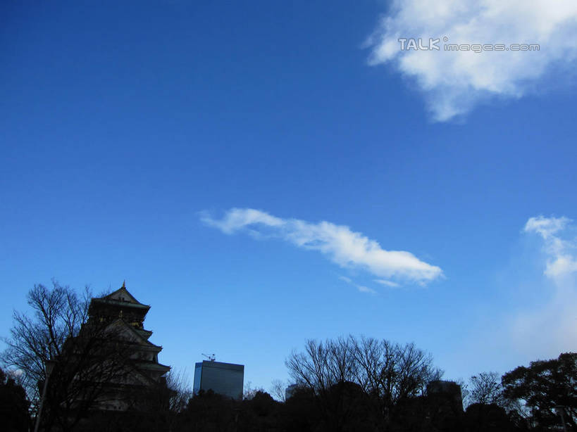 无人,家,横图,室外,白天,仰视,旅游,度假,植物,标志建筑,地标,建筑,日本,亚洲,阴影,光线,瓦片,影子,房屋,屋顶,屋子,云,云朵,背光,云彩,顶棚,瓦,娱乐,建设,楼房,住宅,树,树木,蓝色,绿色,白云,蓝天,天空,阳光,自然,天,享受,休闲,旅游胜地,放松,建造,天守阁,大阪,生长,晴朗,成长,逆光,东亚,屋瓦,本州,大阪府,本州岛,日本国,近畿地方,近畿,县厅,大阪市,晴空,彩图,低角度拍摄,房子,shslj1