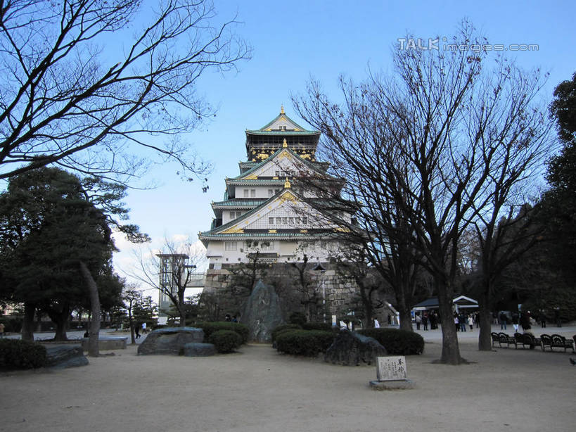 无人,家,横图,室外,白天,仰视,旅游,度假,植物,标志建筑,地标,建筑,日本,亚洲,阴影,光线,瓦片,影子,房屋,屋顶,屋子,顶棚,瓦,娱乐,建设,楼房,住宅,树,树木,蓝色,绿色,蓝天,天空,阳光,自然,天,享受,休闲,旅游胜地,放松,建造,天守阁,大阪,生长,晴朗,成长,东亚,屋瓦,本州,万里无云,大阪府,本州岛,日本国,近畿地方,近畿,县厅,大阪市,晴空,晴空万里,彩图,低角度拍摄,房子,shslj1